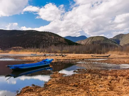 Winning Casino Application mobile